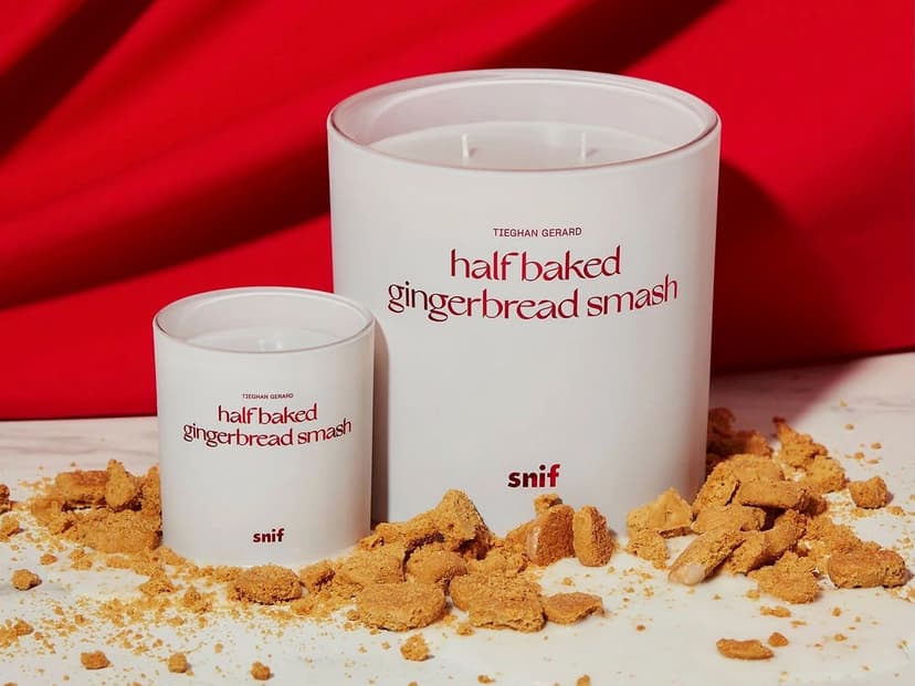 The 2024 Settle Staff Picks Holiday Gift Guide